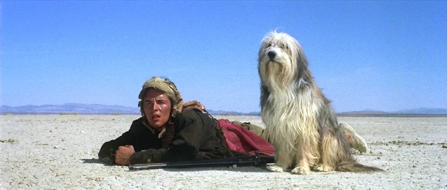 10.	Парень и его пёс / A Boy and His Dog (1975)