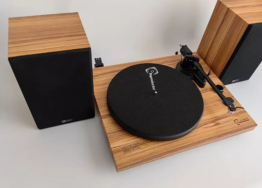Аудиосистема с проигрывателем винила Reproductor RP-LPX500SP