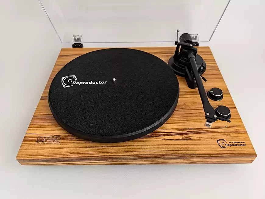 Аудиосистема с проигрывателем винила Reproductor RP-LPX500SP