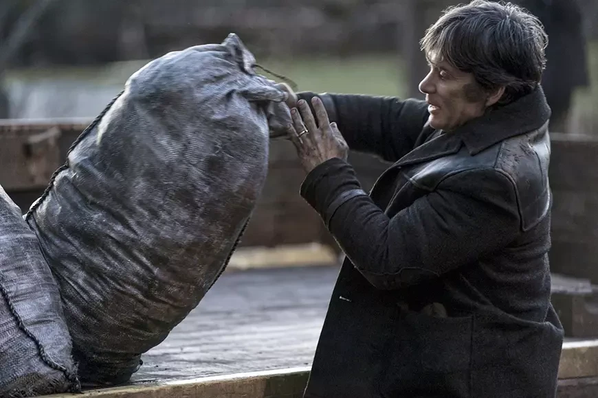 Мелочи жизни / Small Things Like These (2024)