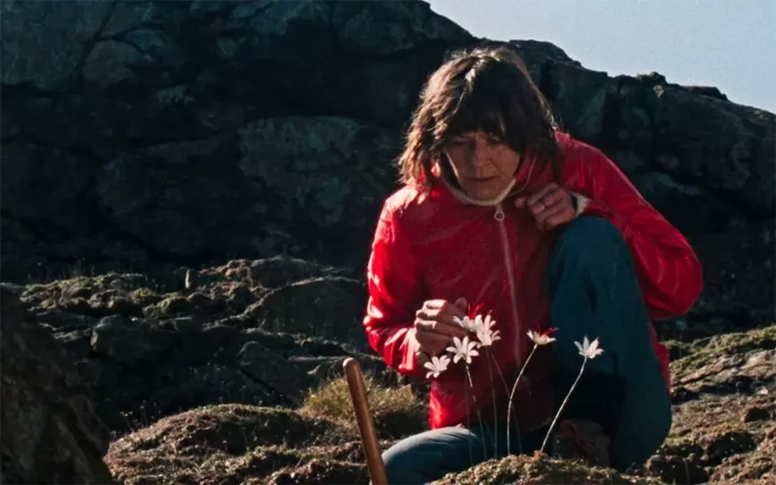 3. Остров Камня / Enys Men (2022)