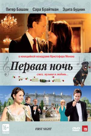 Первая ночь (2010)