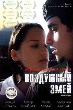 Воздушный змей (2003)