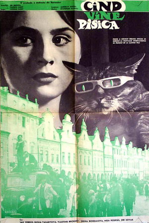 Вот придет кот (1963)