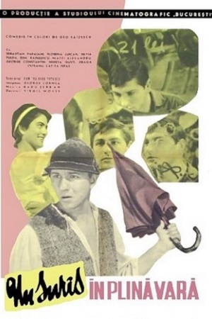 Улыбка в разгаре лета (1963)