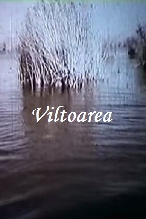 Водоворот (1991)