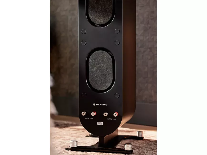   Акустические системы PS Audio Aspen FR10