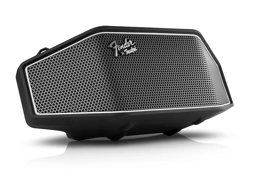 Беспроводная аудиосистема Fender x Teufel Rockster Go 2