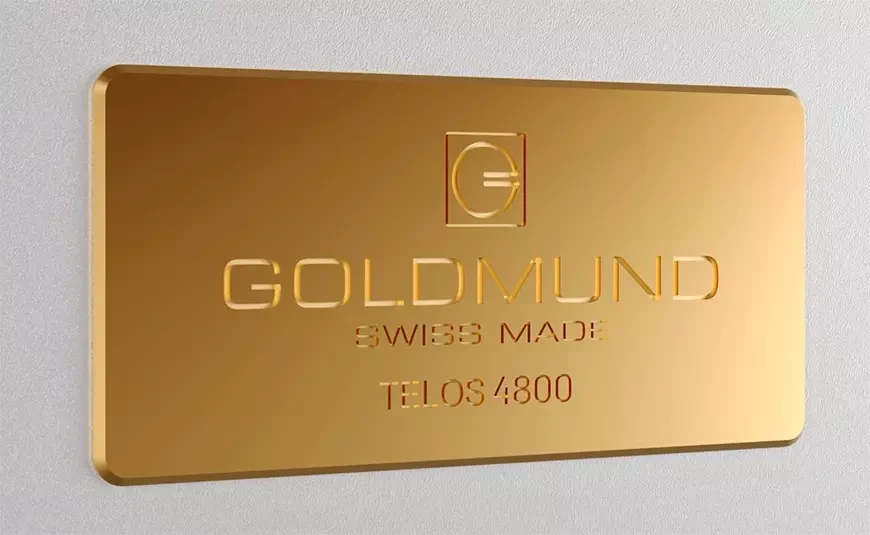 Моноблок Goldmund Telos 4800 Mono Power Amplifier