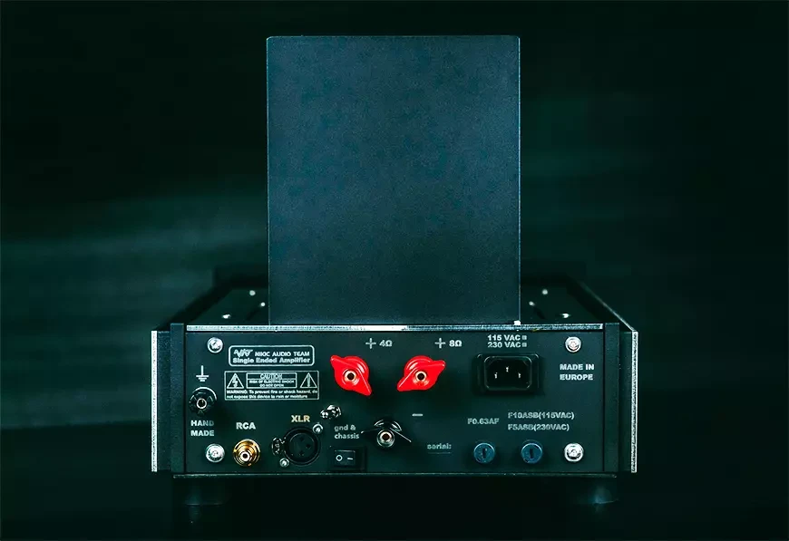 Монофонический усилитель мощности NAT Transmitter EVO