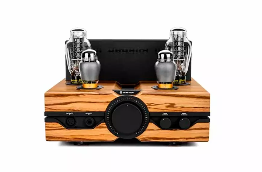 Усилитель для наушников Feliks Audio Envy Meisterwerk