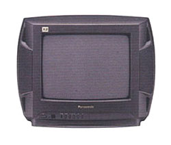 Телевизор Panasonic TC-21GF80R