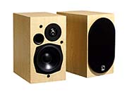 Акустическая система Audio Pro Focus SA 2