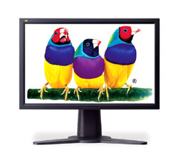 LCD монитор ViewSonic VP231wb