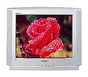 Телевизор Samsung CS-25V5WTR