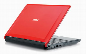 Ноутбук MSI EX310