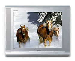 Телевизор Samsung CS-21K10MHR