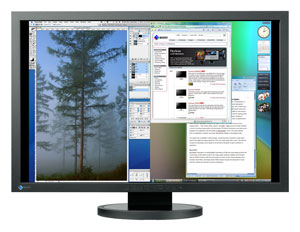 LCD монитор Eizo FlexScan SX3031WK