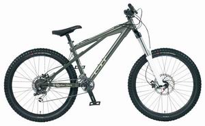 Горный велосипед GT Ruckus Shore (2008)