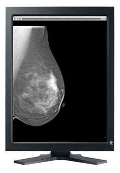 LCD монитор Eizo RadiForce GS510CLP  5MP mono