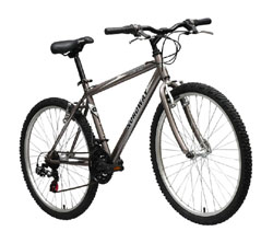 Горный велосипед Nordway Discovery SX 2005