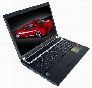 Ноутбук RoverBook Pro P735