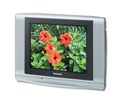 Телевизор Panasonic TX-21FJ20T