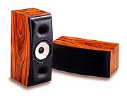 Акустическая система Thiel SCS 3 White Oak