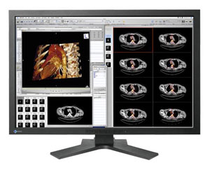 LCD монитор Eizo FlexScan MX300WK 4MP