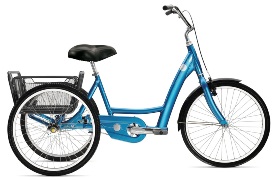 Велосипед TREK Pure Adult Trike (2008)