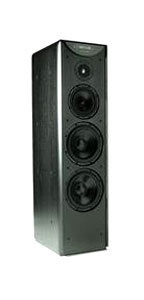 Акустическая система Meridian DSP5500 MkII-PLF