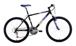 Горный велосипед Wheeler 800 ZX 2005