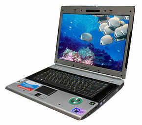 Ноутбук RoverBook Nautilus V571