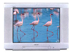 Телевизор Sony KV-XR29M80