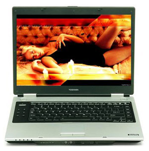 Ноутбук Toshiba Satellite M45-S331