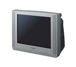 Телевизор Samsung CS-25M20SSQ