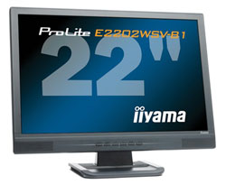 LCD монитор iiyama ProLite E2202WSV