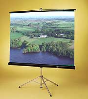 Проекционный экран Draper Diplomat/R 108x144, бисерный