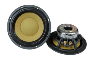 Низкочастотные динамики DLS UR6i