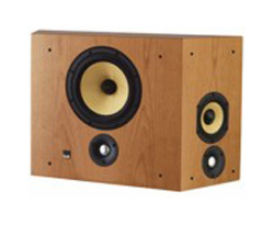 Акустическая система B&W DS 8S