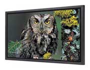 Плазменная панель Panasonic TH-50PHD5HY