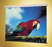 Проекционный экран Draper Luma 213x213, белый матовый с черной каймой