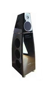 Акустическая система Meridian DSP8000 MkII-SPC