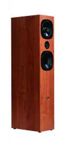 Акустическая система Audio Pro Evidence E.6