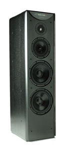 Акустическая система Meridian DSP5500 MkII-BA