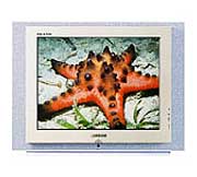 Телевизор Samsung CS-29Z4HNQ