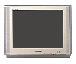 Телевизор Samsung CS-25M6SSQ