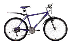 Горный велосипед Wheeler 600 ZX 2005