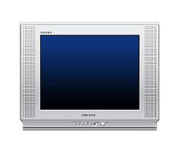 Телевизор Samsung CS-21K3MJQ