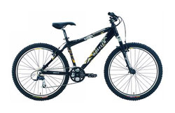 Горный велосипед Wheeler Buddy 02 2005